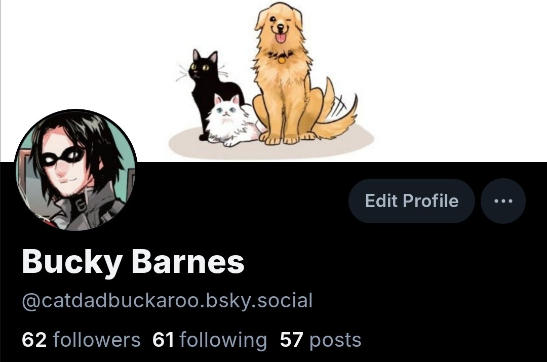 || anyone else have bluesky? I've pretty much fully moved over there for rp so uh follow me there if you want