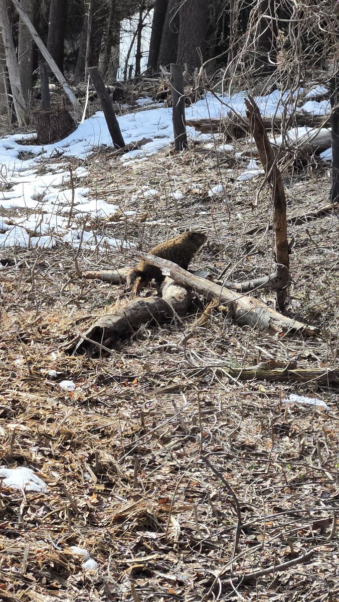 I don't know about PA but my man says early Spring.