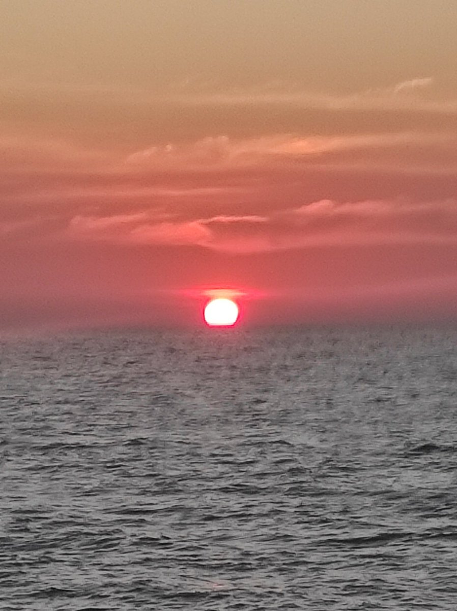 Настолько отвыкла от твиттера, что даже в отпуске, имея к нему доступ без ВПН вспомнила только за 3 часа до вылета об этом))
Отпуск был хорош... Тайланд теперь в самом ❤️
Воистину страна 1000 улыбок!