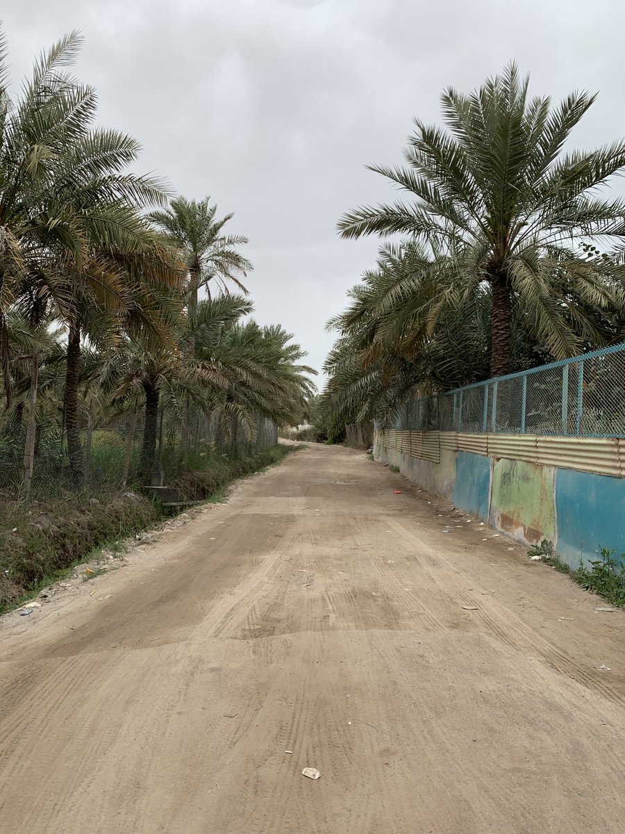 Alsayed2000's tweet photo. #القطيف https://t.co/CtYJnAXfc7