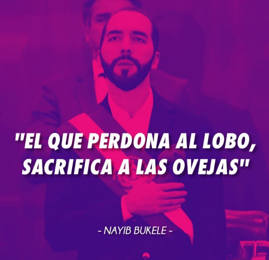 <a href="/AlertaNews24/">Alerta News 24</a>