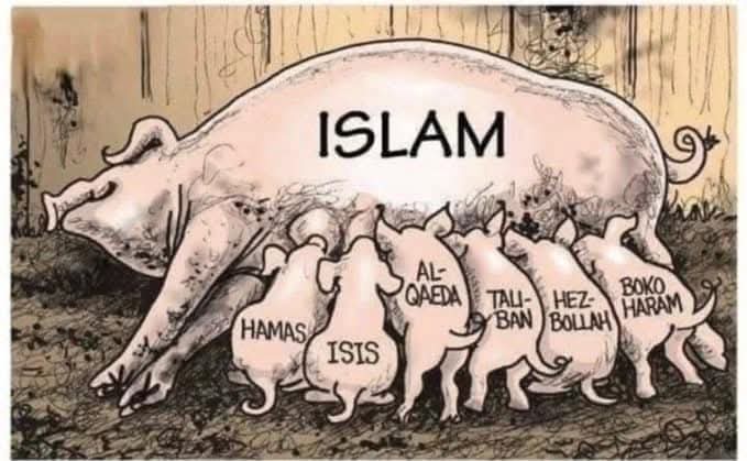 exposed_america's tweet photo. @Ilhan @SenBooker @RepSchakowsky https://t.co/Xmw8rQ28Y0