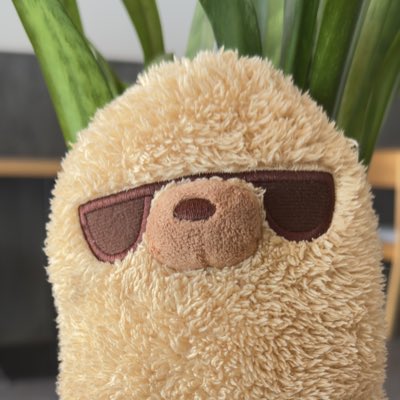 الحسين الشيشكلي - أبو نارنج tweet media