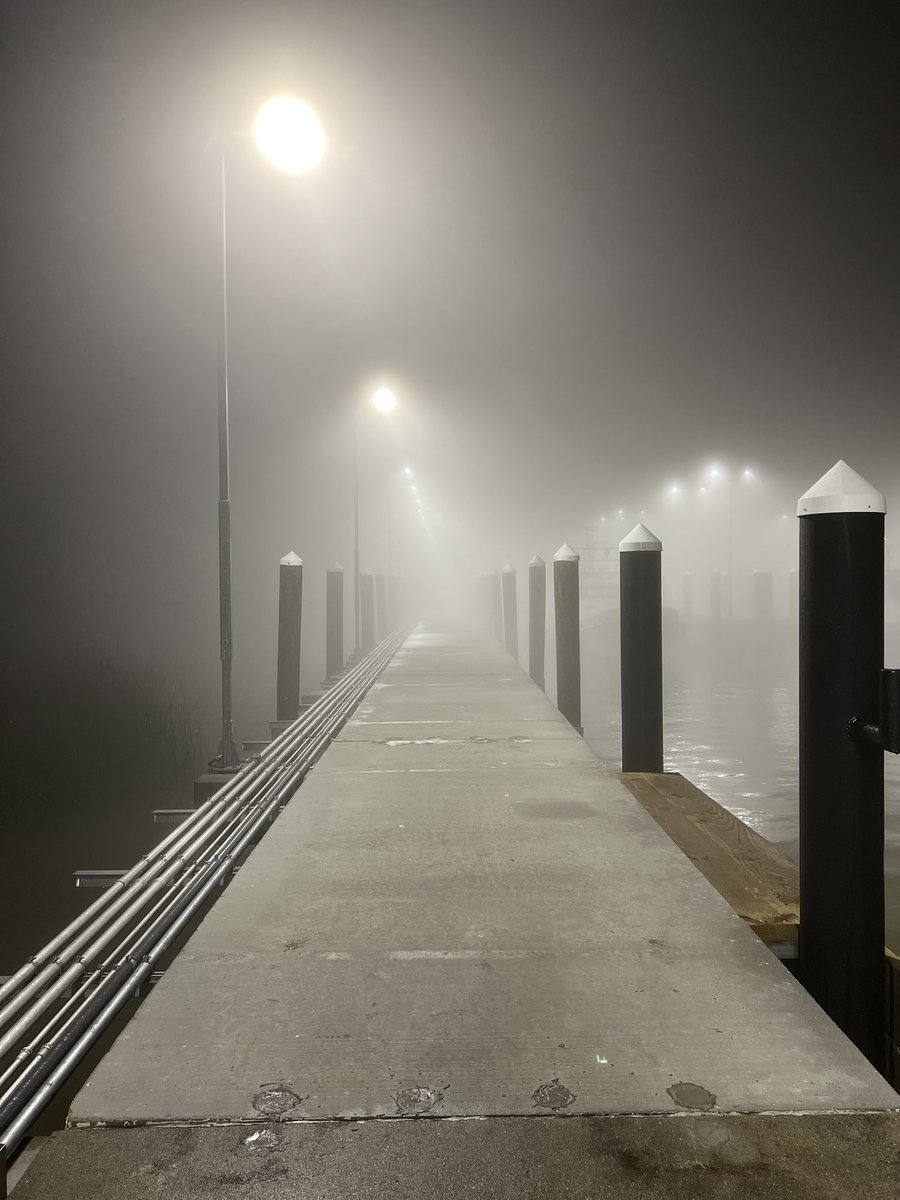 Strother Sacra tweet media