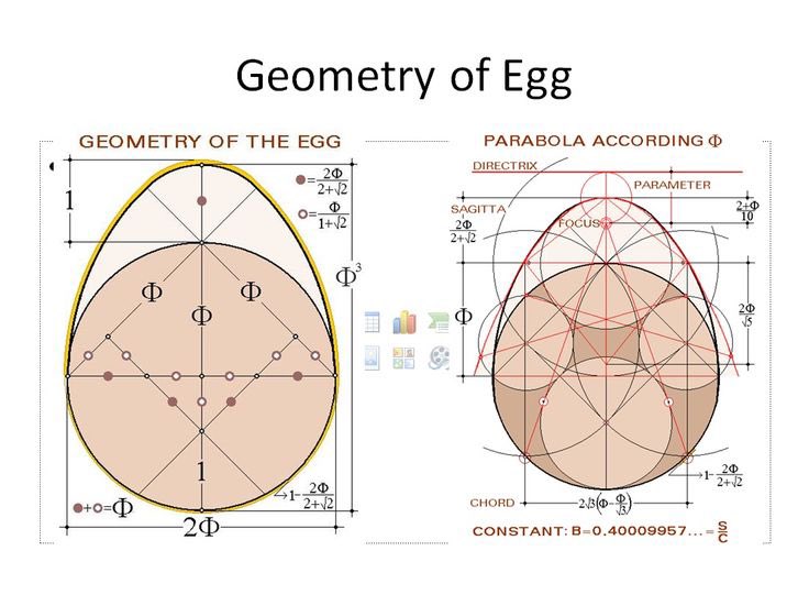 hypnolysis's tweet photo. Eggs are portals. https://t.co/XeFHmor4qv