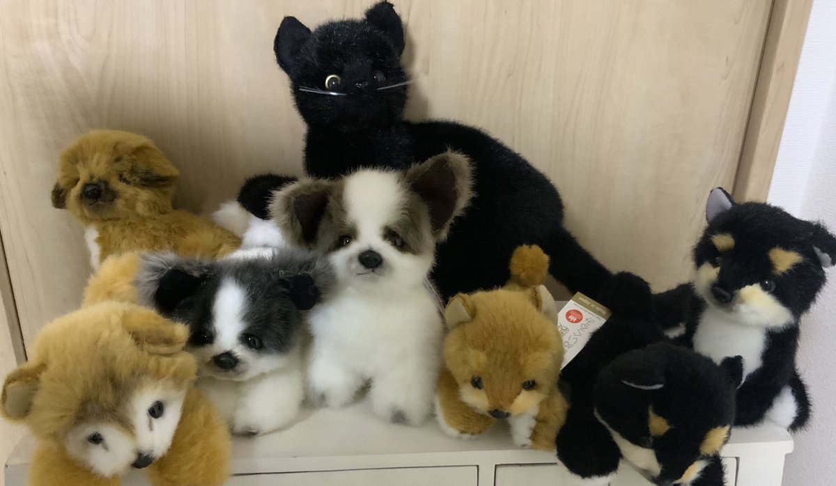 Dousin_kawaii's tweet photo. ぬいぐるみ日本工場の今🧸

・状況
高齢化とミシンなどの設備が古く保守部品が手に入らないために稼働が上げられない🏭

ぬいぐるみを国内で作るメーカーが少ないので、生地が流通していない👕

流通生地がなくなると全て反物で特注する必要があり、ロットが多く生産を断念するメーカーが増える🧸

生地が消費されない状況が続くと、繊維メーカーが糸の輸入や生産をやめてしまう🧵

日本の物作りは分業制を採っている事が多く
目鼻のパーツや糸を仕入れる会社→生地を作る工場→裁断をする工場→仕上げをする工場

という具合で分かれているケースが多いので、どこか一軒が廃業すると連鎖廃業をする可能性がある🏭😭

日本製のぬいぐるみがなぜ珍しいかと言いますと、簡単に書いただけでもこれだけのハードルを超えて産まれているからです🤔
しかも売り場はキャラクター全盛、、、年々お取り扱い店は減っております🤔そうなるとメーカー側の注文が減り、工場の生活がままならず廃業する、、、そんな負の連鎖を抱えております🤔

一部工場では、敢えてインボイス制度に登録していないところもあります😭『どうせ注文ないし』『めんどくさい注文来ても断れるし』という部分もあるんだと思います🤔

フカフカの工場は頑張ってくれていますが、上述の項目全てがガッツリ当てはまっています🏭弊社は微力ながら、ラインナップ商品に関しましては常に注文を入れ続けています🧸というより常に最低ロット(フカフカならSサイズで一色約700−800体)を3色以上は預けております🤔

納期の順番の希望を出したり、期末なので今月はゆっくりにして‼️というお願いはしますが、希望と違っても出てきたものは仕入れるようにしています🤔

それが工場への最低限のリスペクトだと考えます🫡たまに喧嘩もしますけど🥺

一部工場では中国で作られたボディーの仕上げだけをしたり
今月は１０個‼️急いで‼️でも来月はいらないからゼロ‼️という無茶な希望に応えることで疲弊しているようです😭

どげんかせんとなぁ🤔と最近そればっかり考えています
弊社の方で簡単かつロットを守った発注を入れられれば🤔

やりますか、、、、復刻クマ🧸