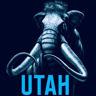 J.Achtziger 🦣 tweet media