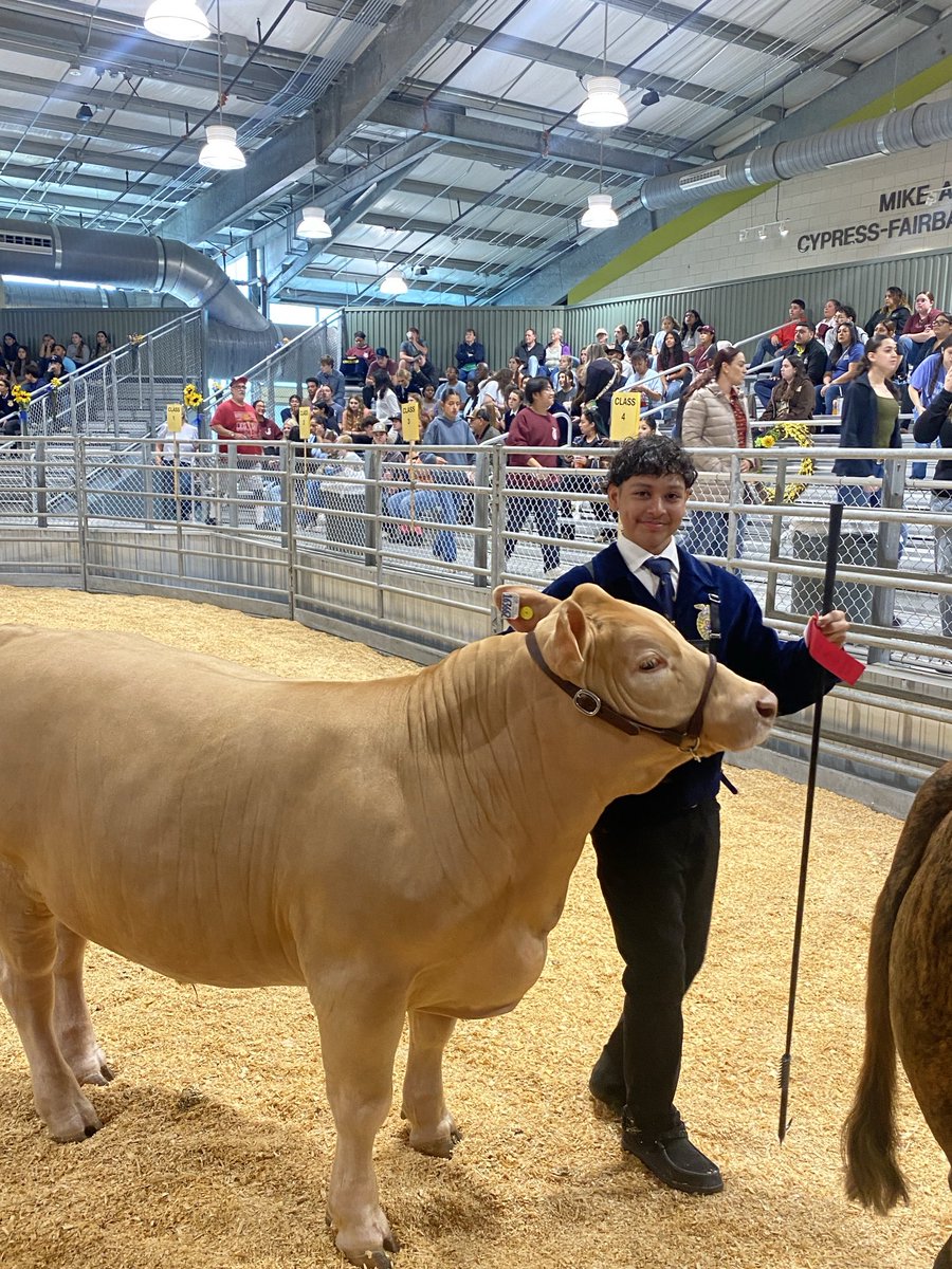 Dr. Cheryl T. Henry (@2015csprincipal) on Twitter photo Day 1 <a href="/CyFairISD/">Cypress-Fairbanks ISD</a> CTE-AG show. Great showing by <a href="/CySpringsFFA/">CySpringsFFA</a> <a href="/CySpringsHS/">Cypress Springs HS</a> #AllDayEveryDay Day 1 <a href="/CyFairISD/">Cypress-Fairbanks ISD</a> CTE-AG show. Great showing by <a href="/CySpringsFFA/">CySpringsFFA</a> <a href="/CySpringsHS/">Cypress Springs HS</a> #AllDayEveryDay
