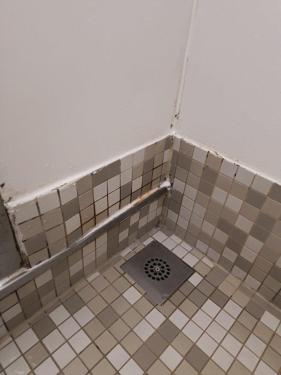 biff_cantor's tweet photo. @CruiseCritic @CelebrityCruise 
Celebrity Constellation is in disrepair.
Prime Concierge Class 6134.
Contacted Celebrity got an apology, but no acknowledgement the ship should be out of service. It's not Celebrity Standard https://t.co/1lrhFYu9iL