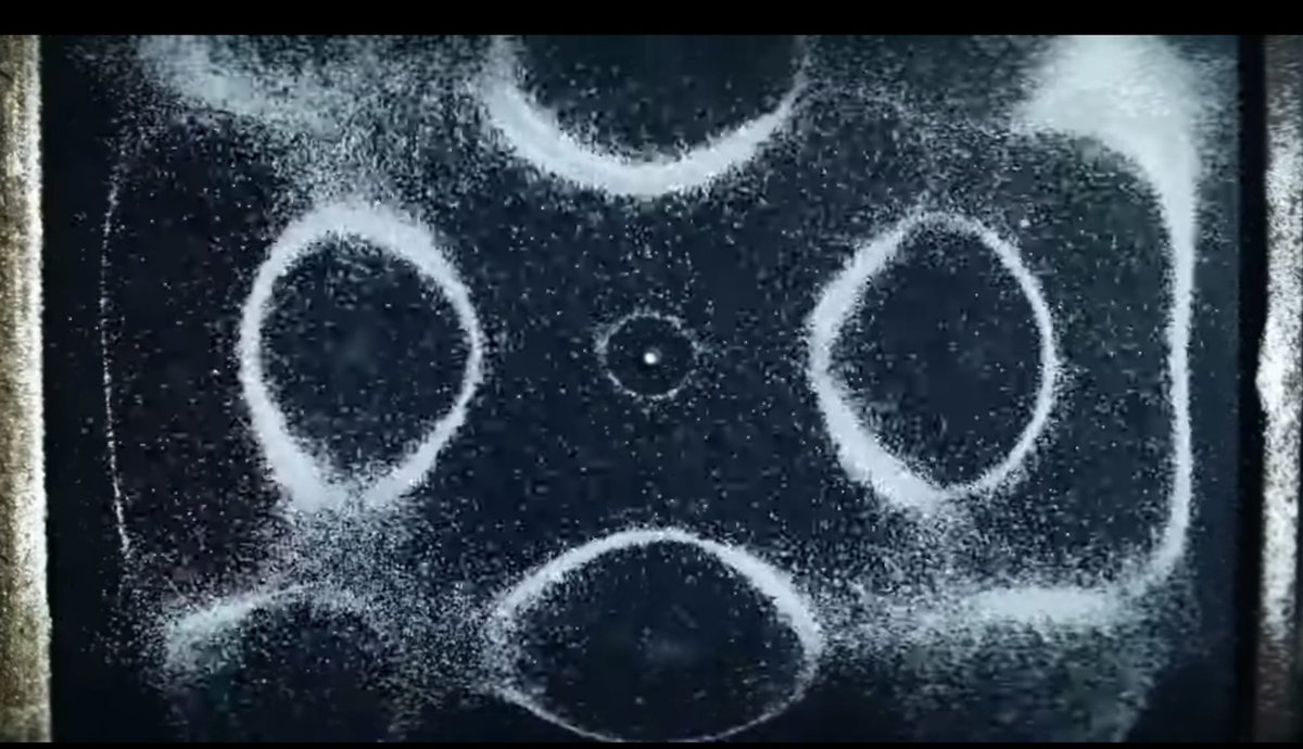 project hail raven 🌌🛰️ tweet media