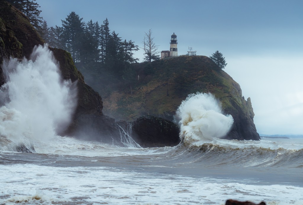 Washington's Evergreen Coast tweet media