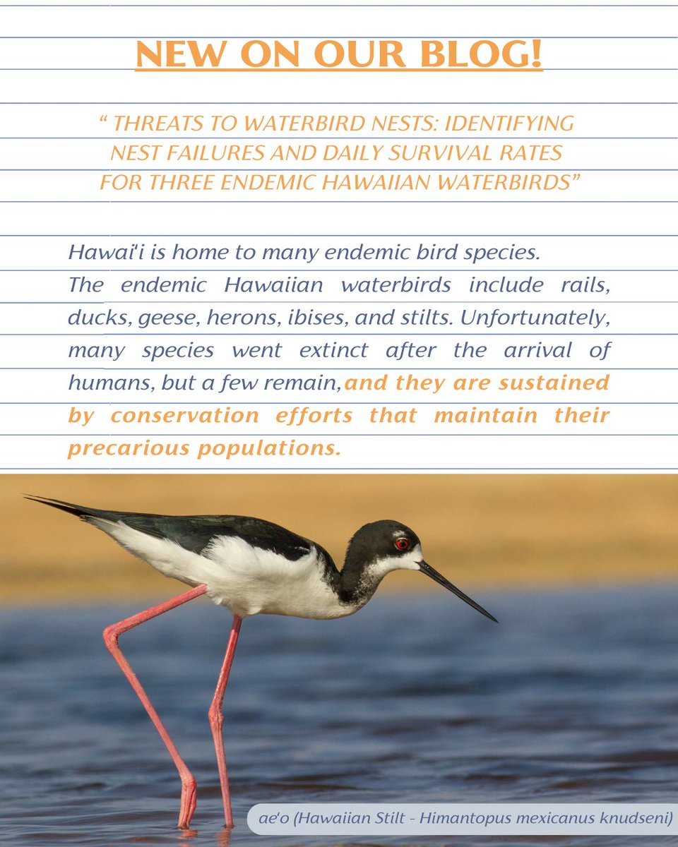 Association of Field Ornithologists tweet media