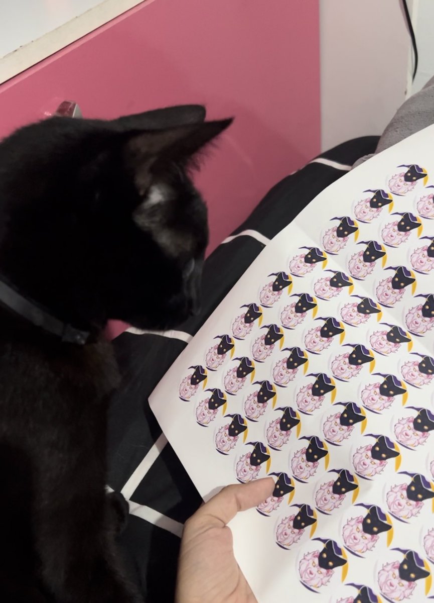 aprovado pela chefia