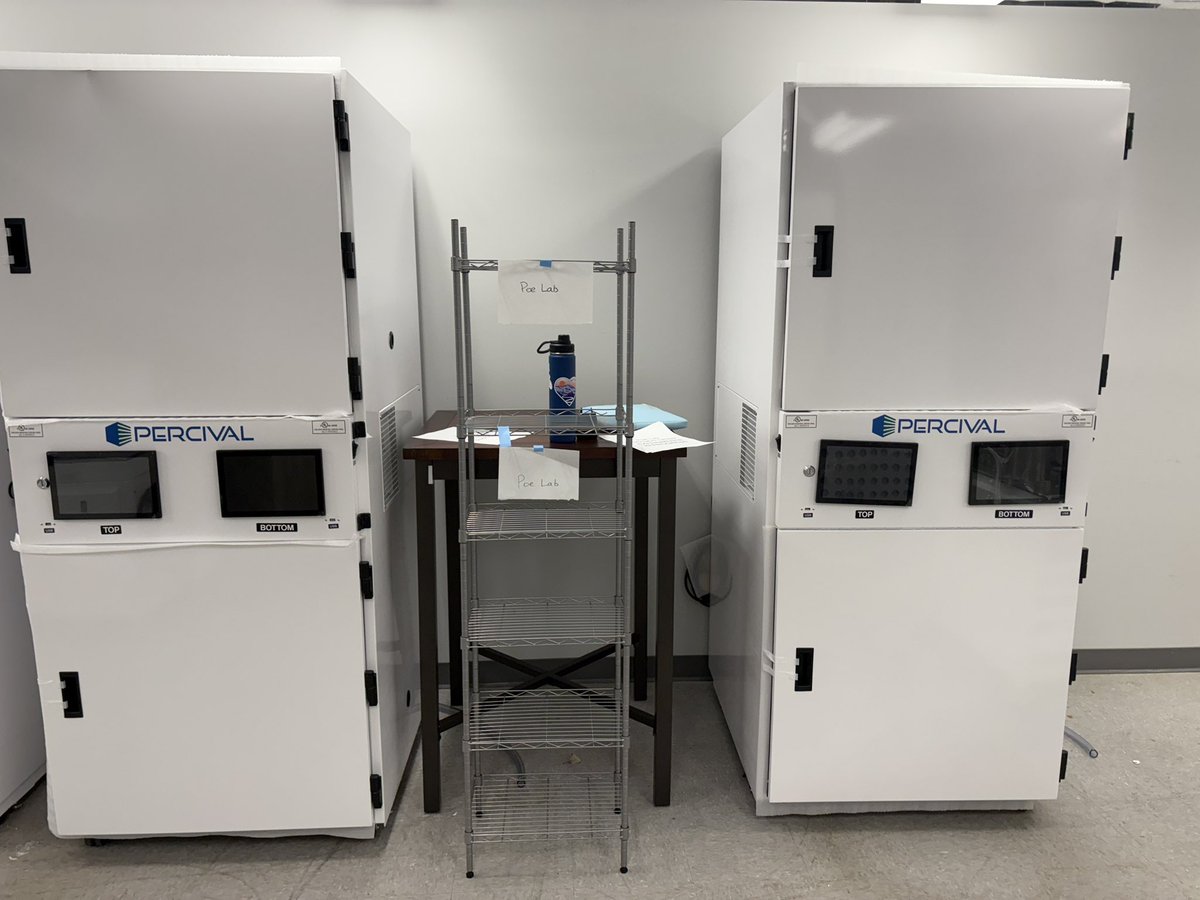 Amy Poe, PhD tweet media