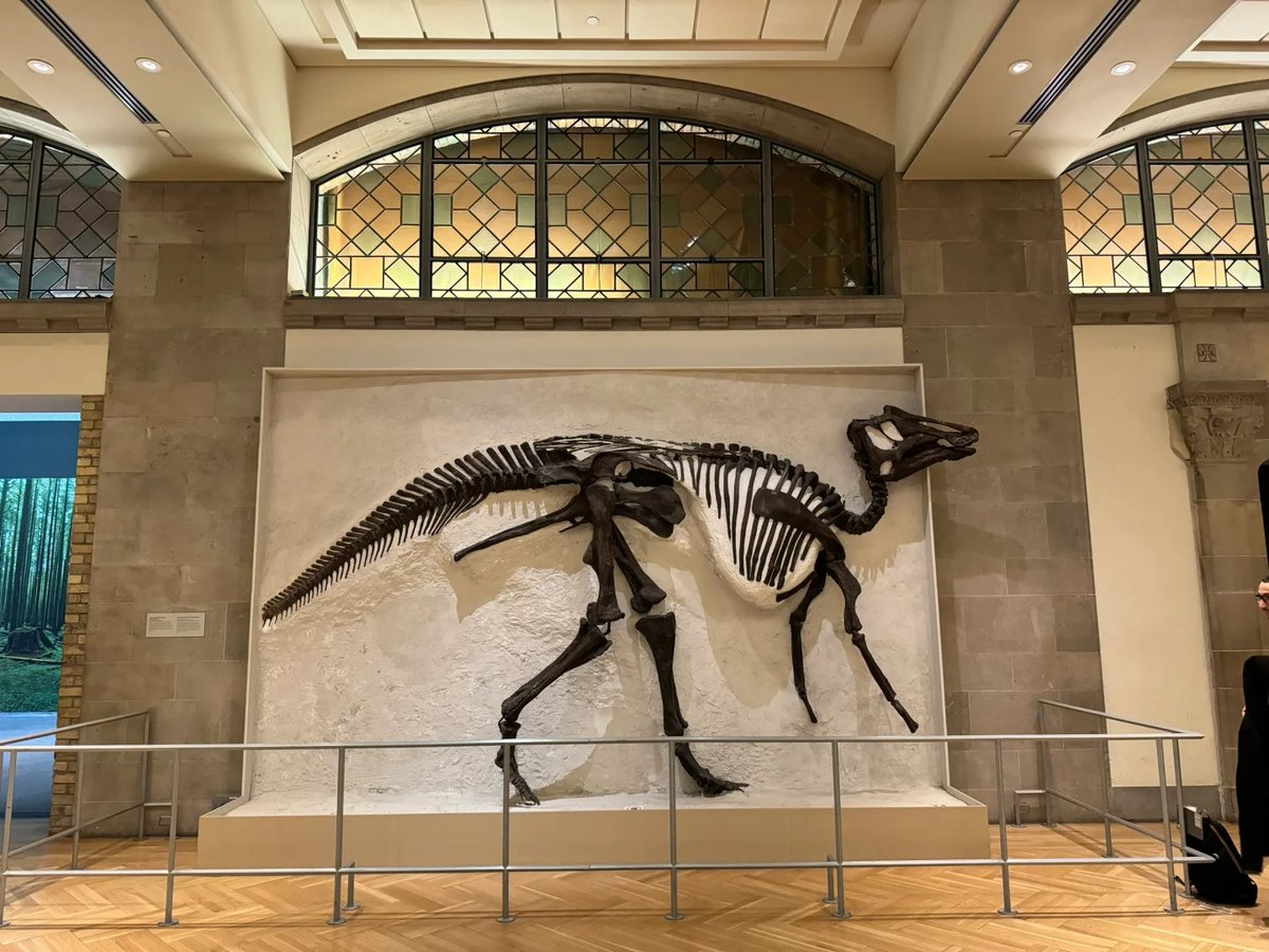 gyufjtyk's tweet image. Delve into the past.💟