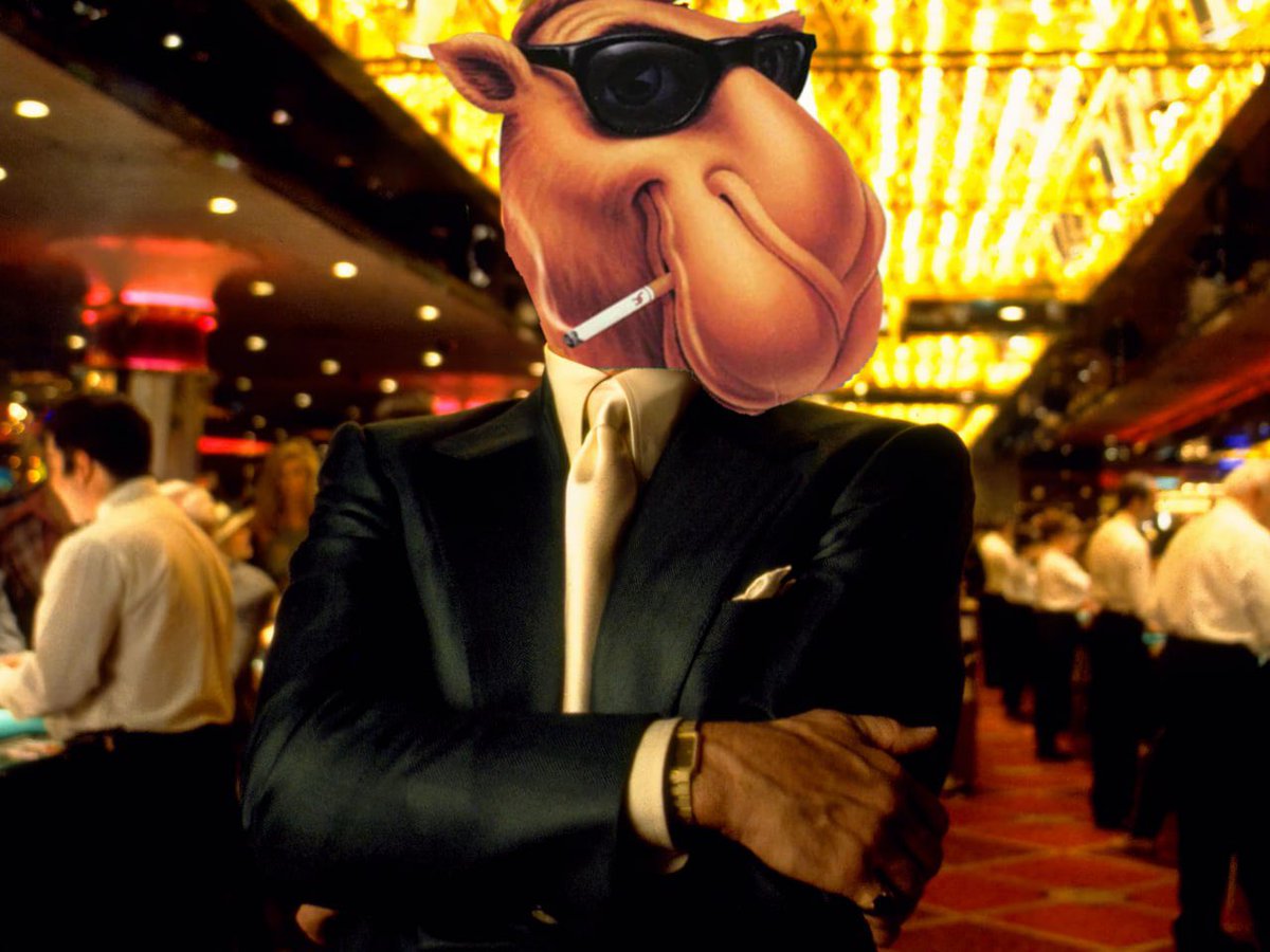 CamelSolCto's tweet photo. Weekend activities
Enjoy the vibe and giggles at the casino
#JoeCamel https://t.co/8L6kFE0QhA