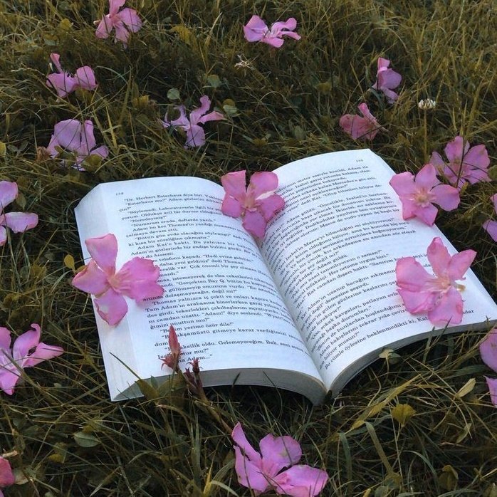 fmattosn's tweet photo. [ 📖 ] Livros lidos em 2025

                    a thread ~ !★

"é pɑrɑ isso que servem os livros. Pɑrɑ viɑjɑr sem sɑir do lugɑr." https://t.co/oCwQYOlYw4