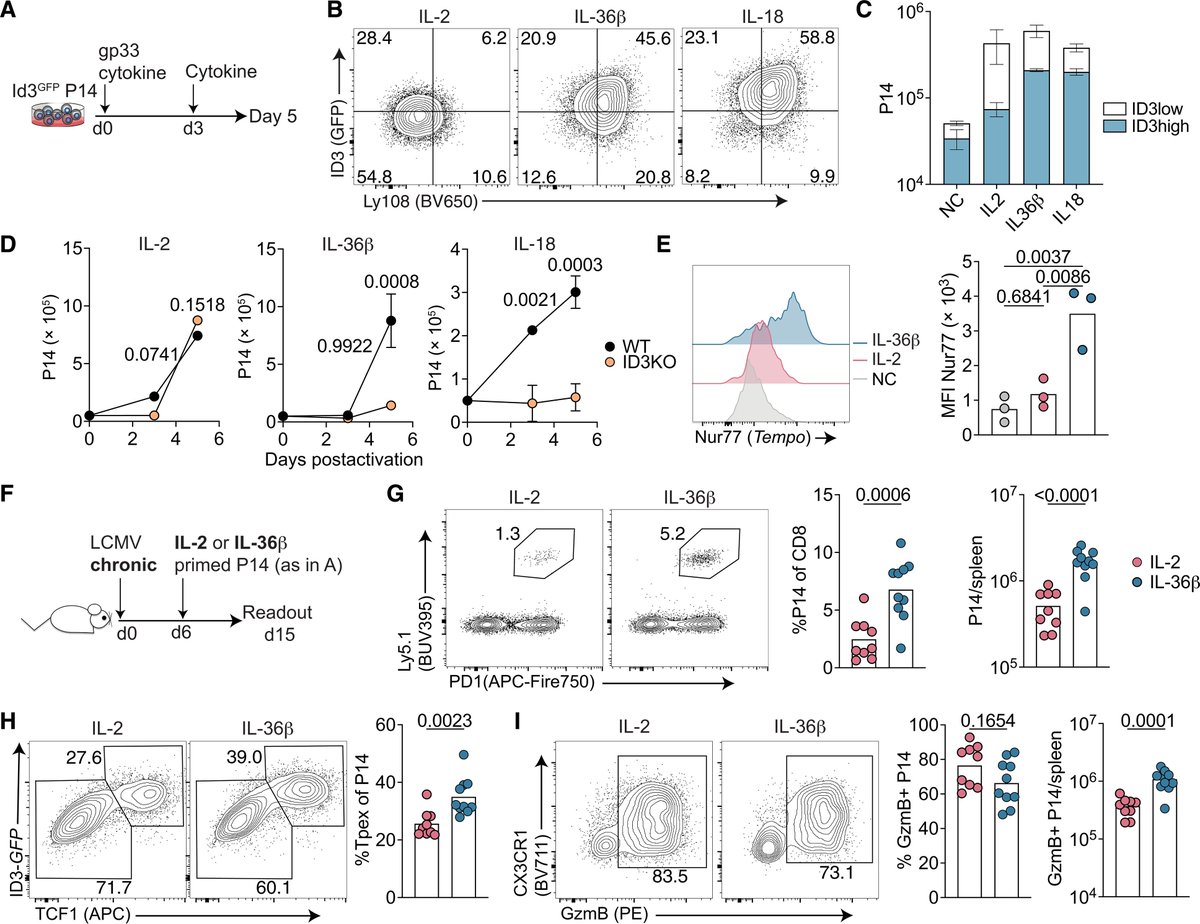 ID3 defines stem-like T cells with high developmental potential that sustain T cell responses to chronic infection and cancer
science.org/doi/10.1126/sc…
<a href="/SciImmunology/">Science Immunology</a> <a href="/JohnstoneRicky/">Ricky Johnstone</a> <a href="/KalliesLab/">KalliesLab</a>