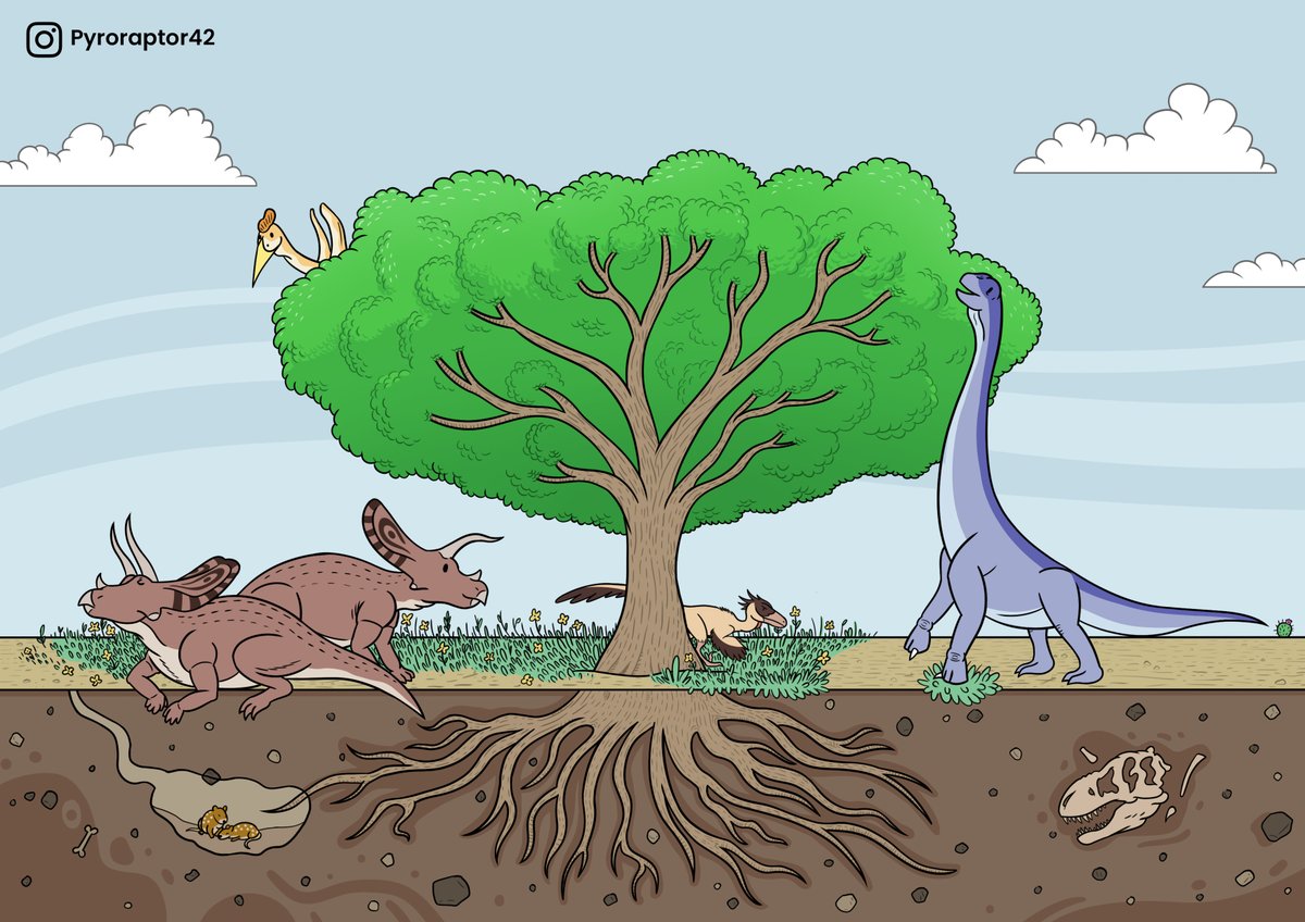 Pyroraptor42's tweet image. Hello 2025, I am a wannabe artist from south america who likes to draw things from stuff I really like, such as cartoons, paleontology, biology, Monster Hunter, Prehistoric Planet, anime, Pokémon, Elden Ring, Valve, etc. If you like any of those too please check my stuff :)