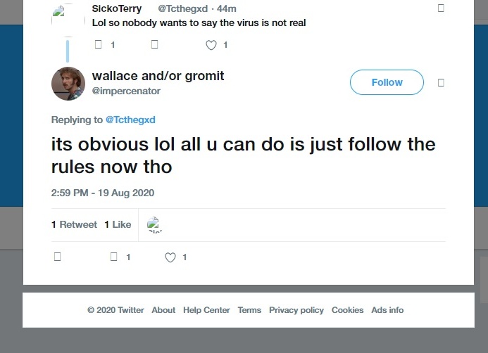 dyl tweet media