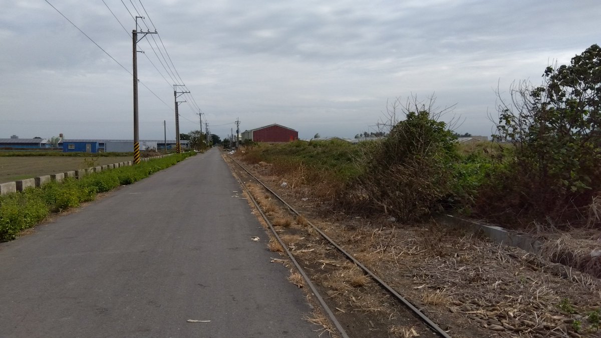 西花マキ tweet media