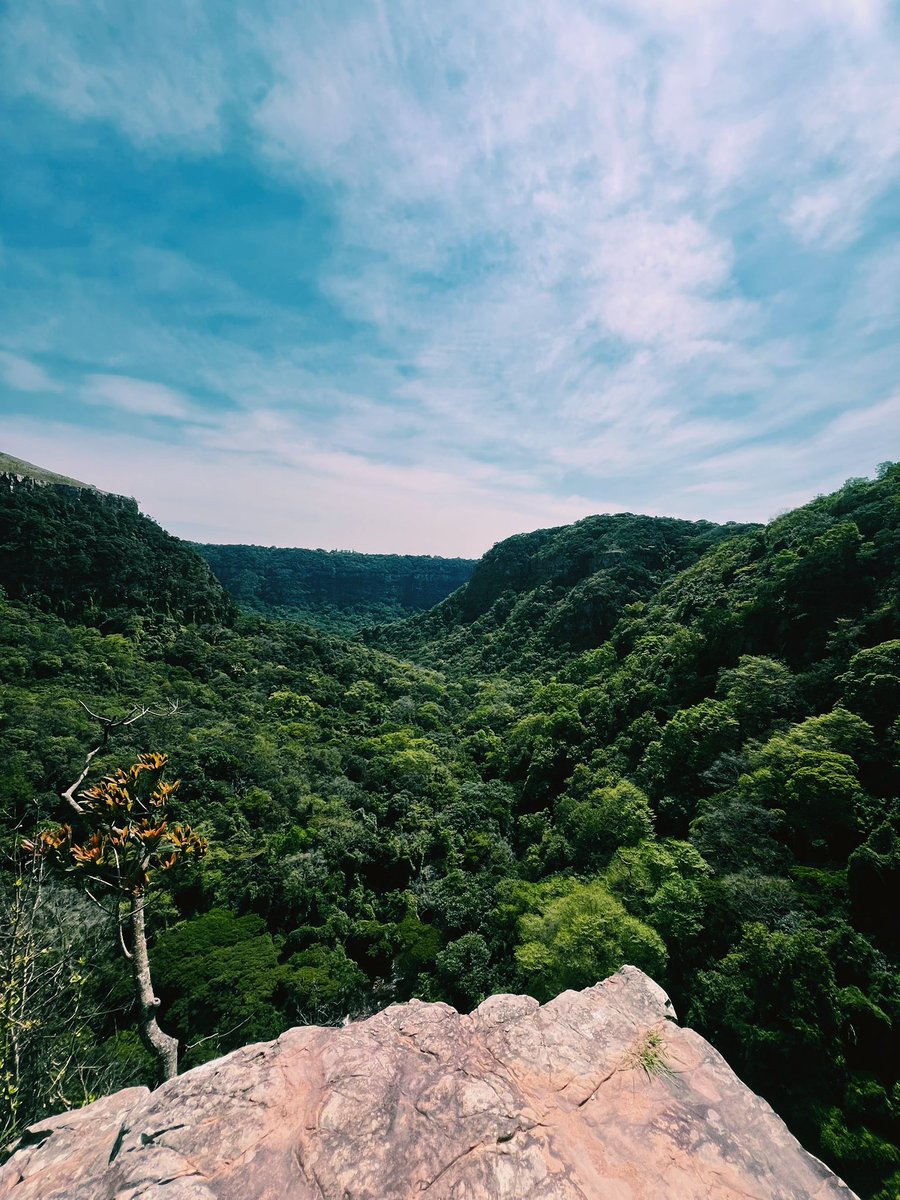 MezLikesToRun's tweet photo. Krantzkloof Nature Reserve! ππ½ββοΈππ»ββοΈβ°οΈπ³π¦
#run #running #runner #trailrunning #trailrunner #ultrarunning #ultrarunner #trails #runningmotivation #runninginspiration #runningcontent #longruns #runnersofinstagram #instarunners #gilnokiesocks #GoPro #GoProSouthAfrica #strava https://t.co/f0tlcDDjan