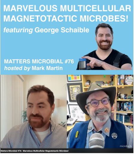 markowenmartin's tweet photo. Not to be missed: multicellular magnetotactic microbes on #MattersMicrobial with Dr. George Schaible. C'mon. Evolution of multicellularity PLUS magnetotaxis? Please spread the #GoodMicrobialWorld about this fun episode. #OMG and #WTM
https://t.co/51xvfUuJGA https://t.co/E8JGEqz3LV