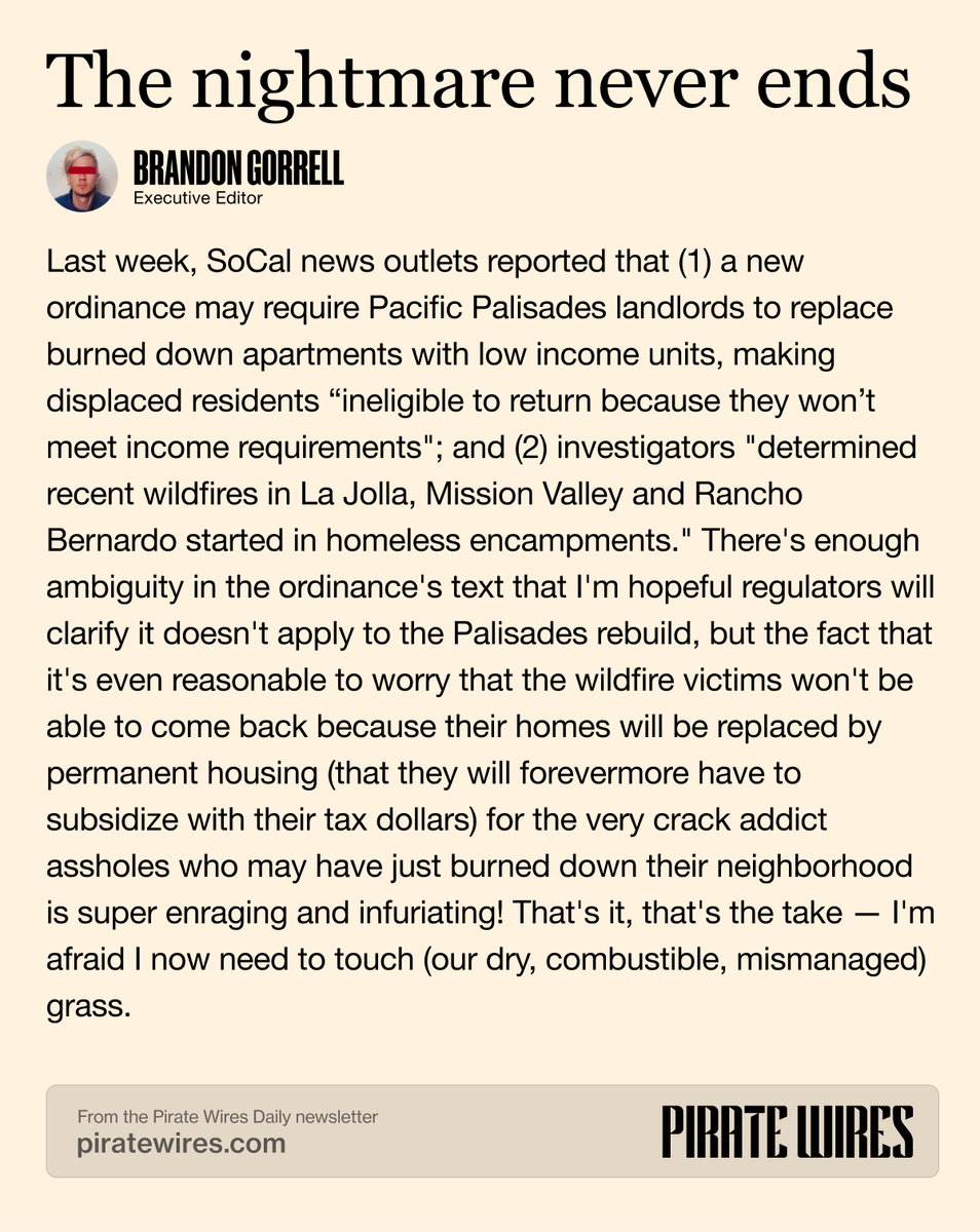 This take from the Pirate Wires Daily 👇