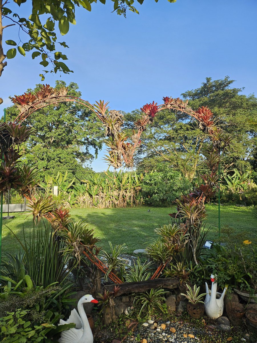 Chef_Pos's tweet image. Good morning February. 🍃 💚