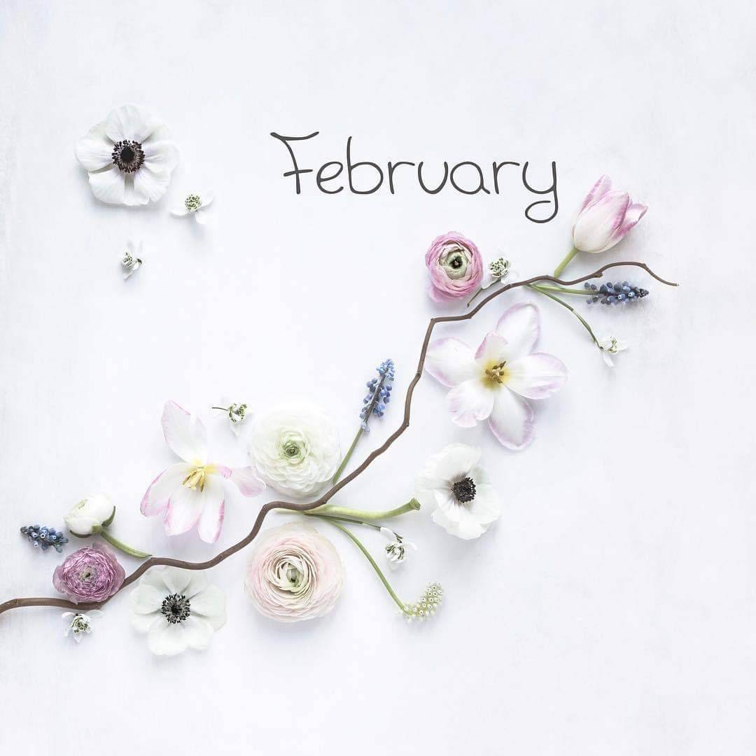 ลาก่อนมกราคม ปีหน้าพบกันใหม่
สวัสดีกุมภาพันธ์ เดือนที่ 2 ของปี ขอให้ เดือนกุมภาพันธ์ เป็นเดือนที่ดีกว่าเดือนมกราคมที่ผ่านมา สำหรับเพื่อนๆทุกๆท่าน มีความสุขความเจริญ สมหวังดังตั้งใจทุกประการ