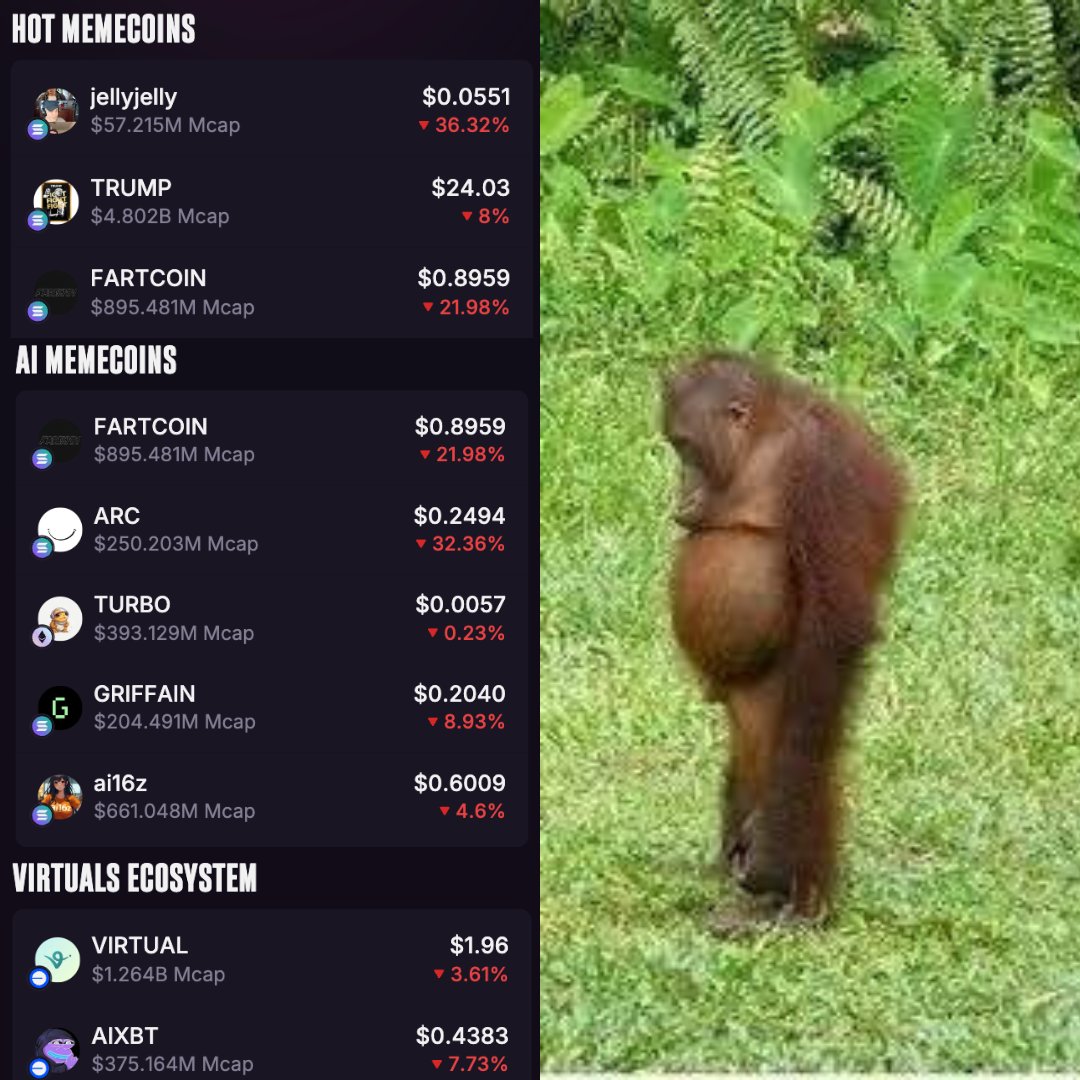 yo are we cooked chat?