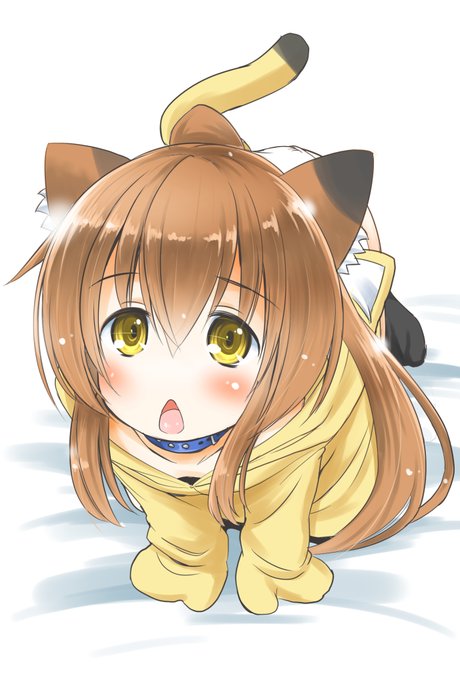 おはようございます
なんとなく貼りたくなったのでふみぃ 