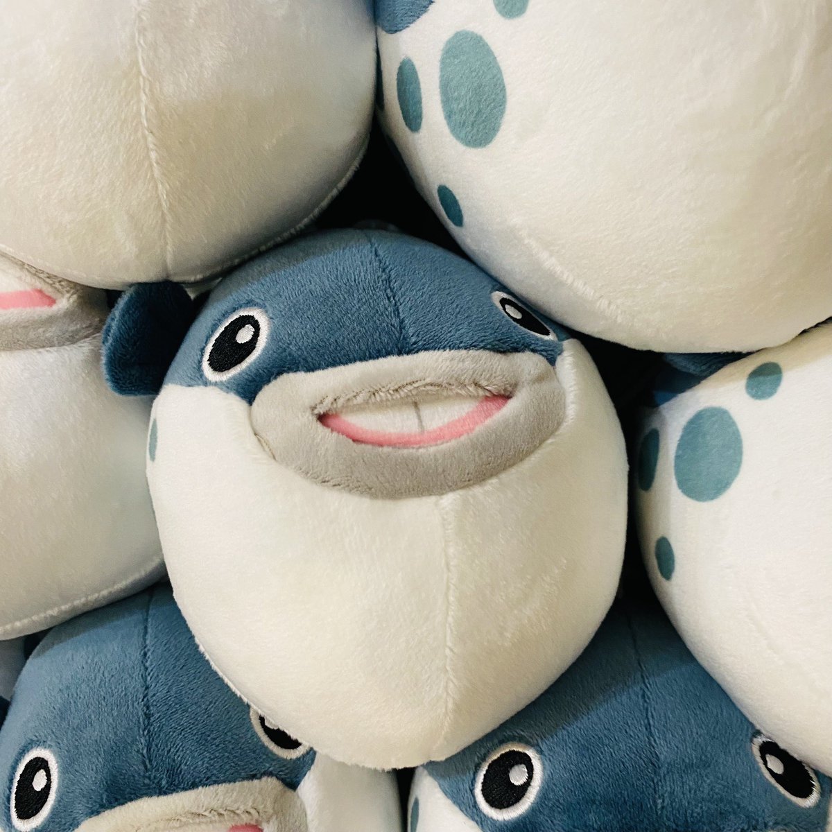 フグちゃんからお知らせ〜🐡 // フグくじ🐡グリーン💚水揚げしましたぁ