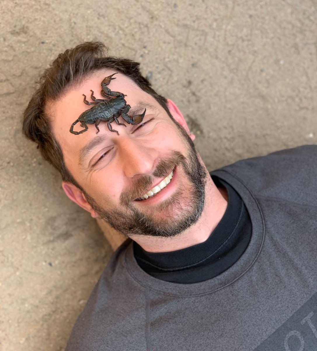 Denise Milano Sprung tweet media