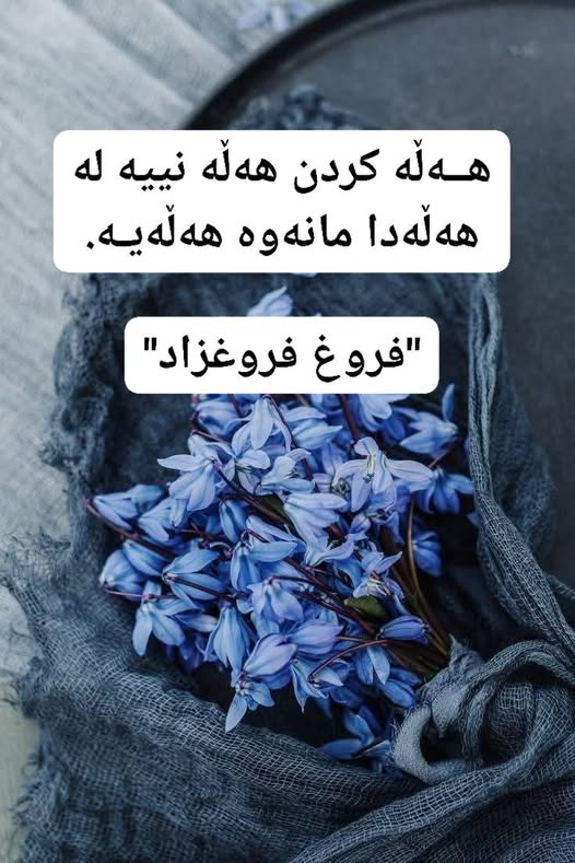 72Kurdish's tweet photo. https://t.co/IATP2njTMc