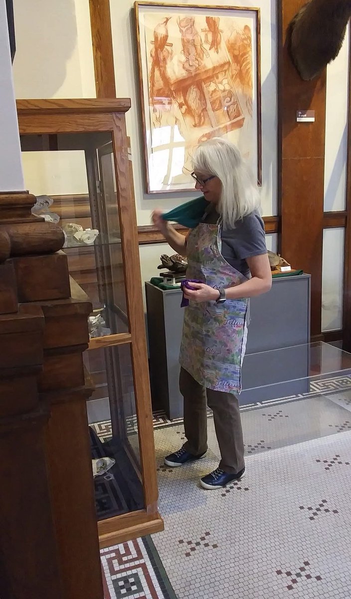 Elgin Public Museum tweet media