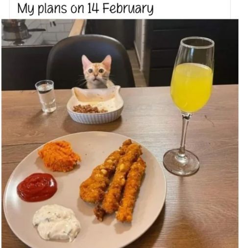 WholesomeMemes (@wholesomememe) on Twitter photo 