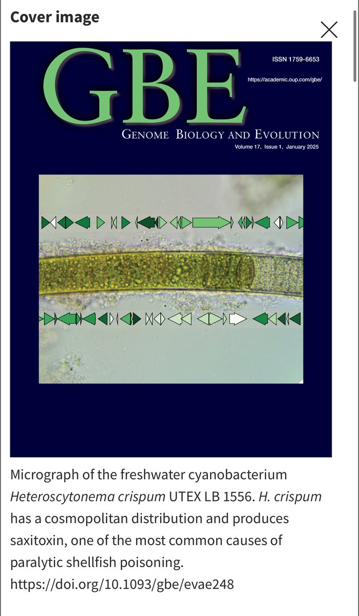 rtraborn's tweet image. I’m happy to share my latest paper, with David Stern and colleagues, a genomic and evolutionary analysis of a novel toxin gene cluster in the harmful algal bloom-causing cyanobacterium Heteroscytonema crispum, published in GBE. (Link in next post)