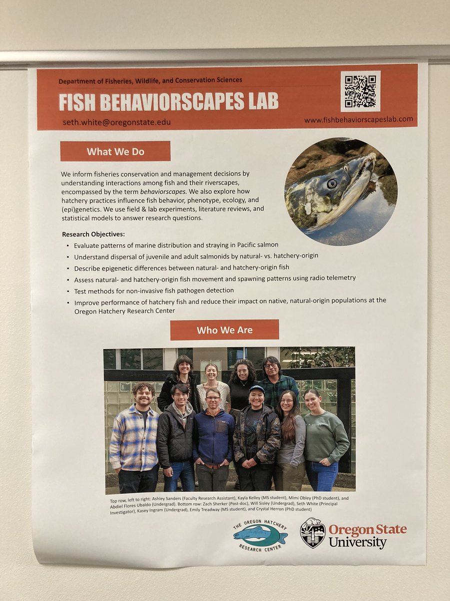 🐟 Seth White 🐟 tweet media