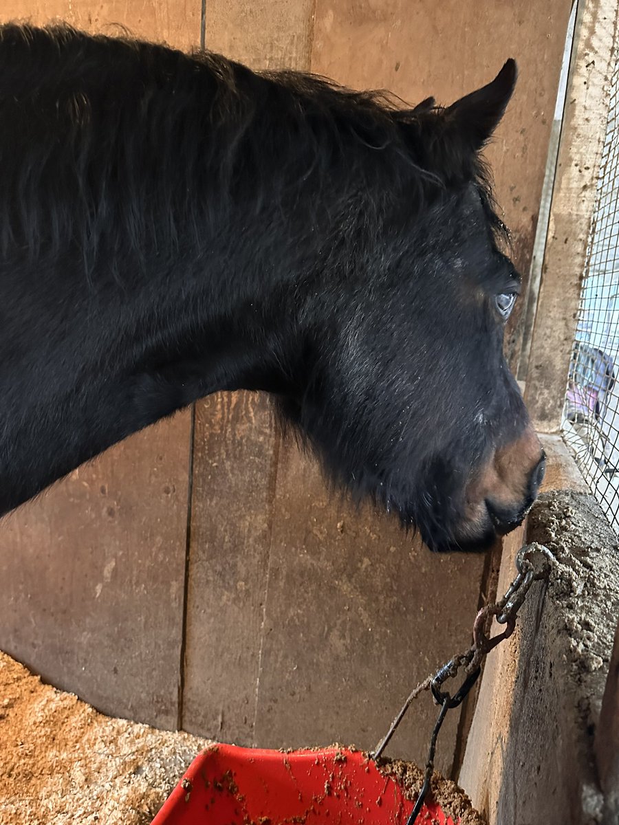 Happiness is warm mush on a cool, damp day.