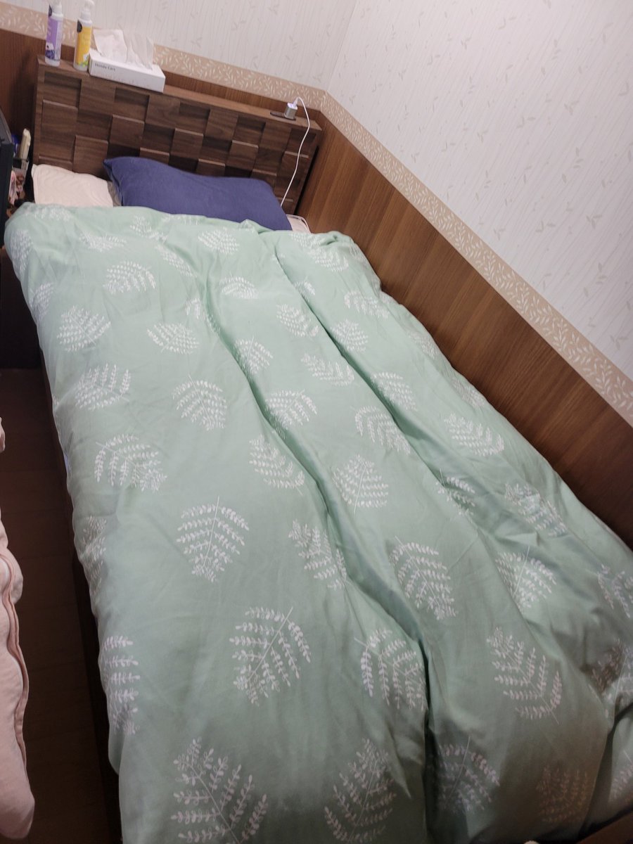 minenchu1106's tweet photo. 今日から みねんちゅ君は 電位治療温熱敷布団デビューです( ˶>ᴗ<˶)

冷え性で 
肩こり性で
不眠症で
腰痛持ちで
疲れが溜まりすぎてる 生活から少しでも楽になれると良いな🙏🏻🌟(｡>人<)

早速 こんな時間に横になって 初試し！

なんか 気持ちいい🫰⸜❤︎⸝‍ https://t.co/iZPCPOZQiP