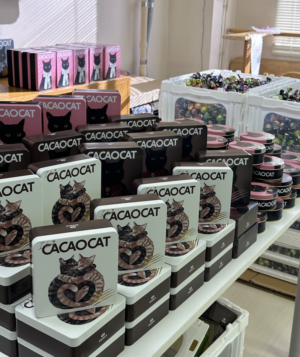 CACAOCAT🐈‍⬛こねこのこねこねクッキー🐾/made in HOKKAIDO/DADACA on X