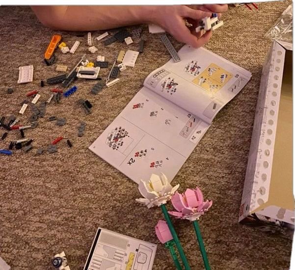 não foi ele que disse que nao montava lego pq era coisa de criança? KSKKSKSKSKKK eu ia amar