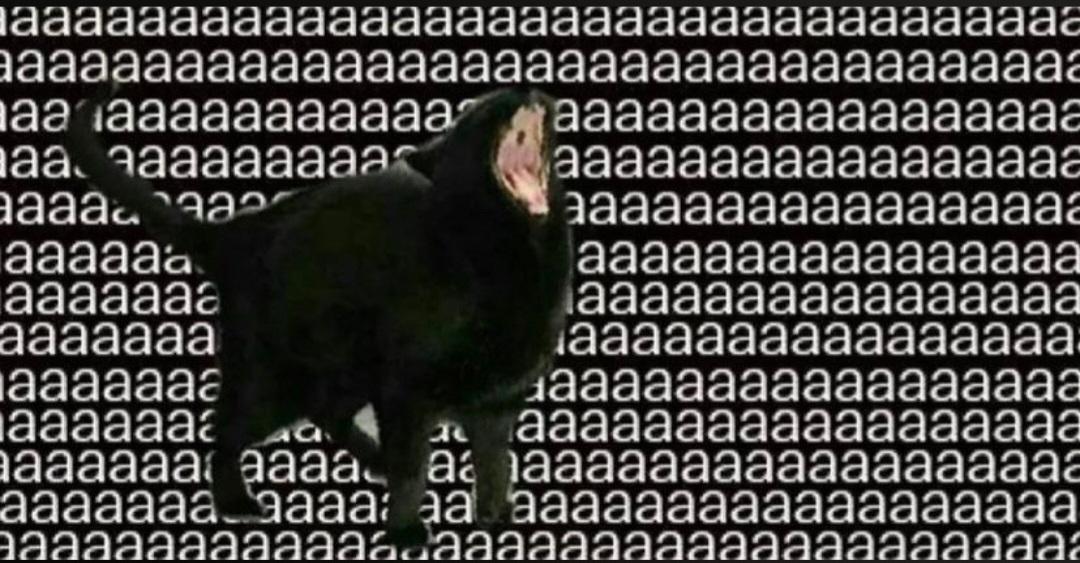 sadcatjay's tweet photo. @huyandere aaaaaaaaaaaaaaaa https://t.co/aZyOV1A0Ji