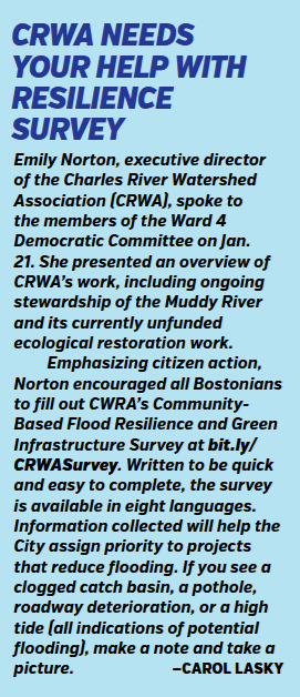 Boston Ward 4 Dems tweet media