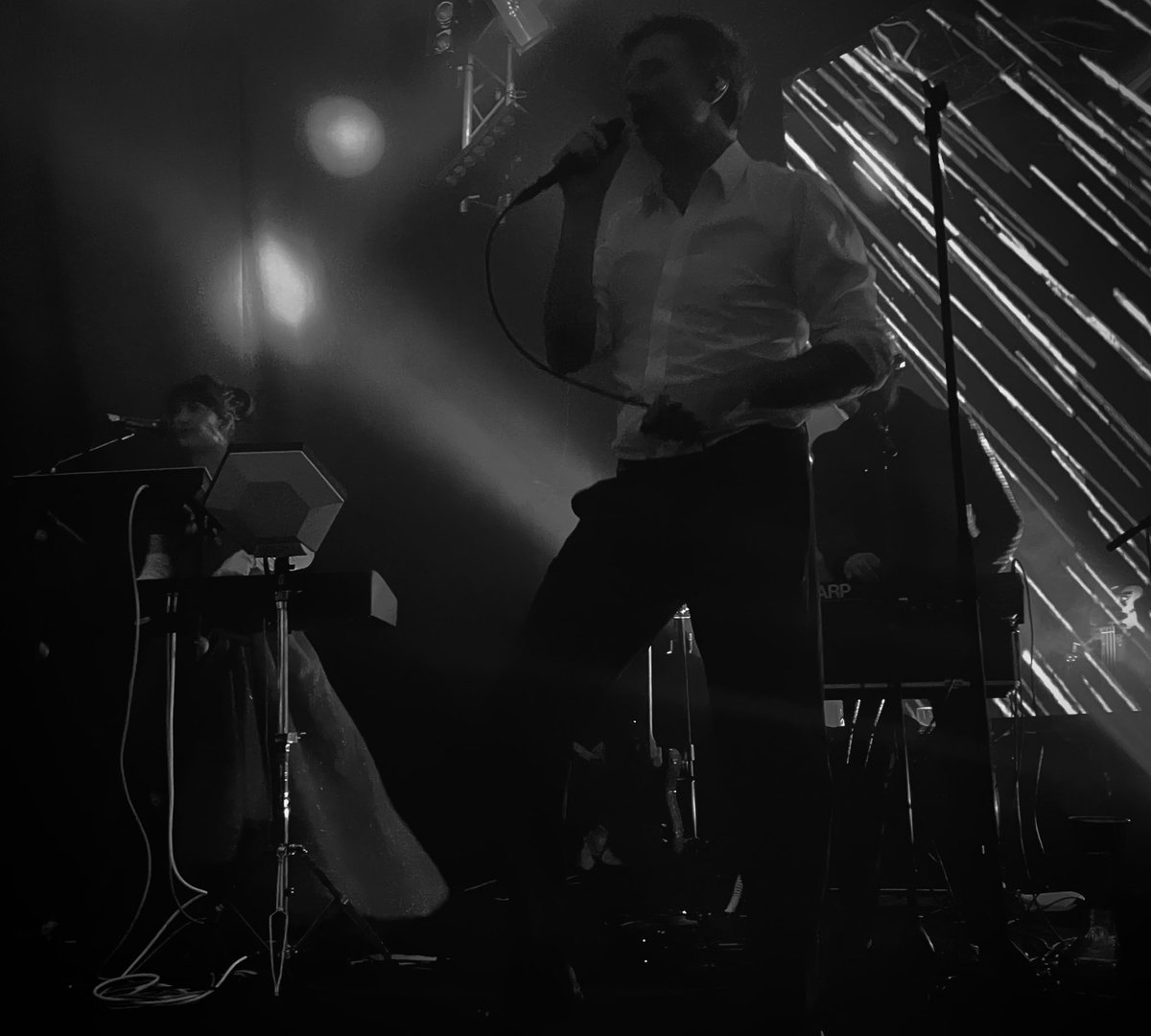 ACVDW's tweet image. 🪴💚 Awesome…. @HousePlantsIE