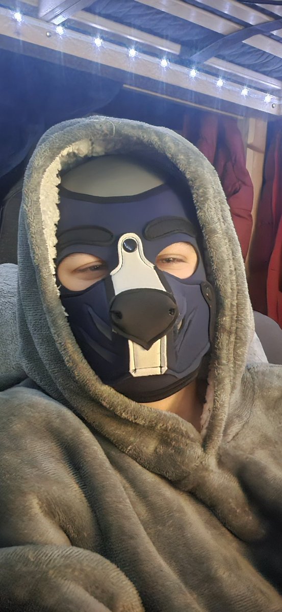 Anyone feeling cozy and warm

#pup #pupplay #puphood