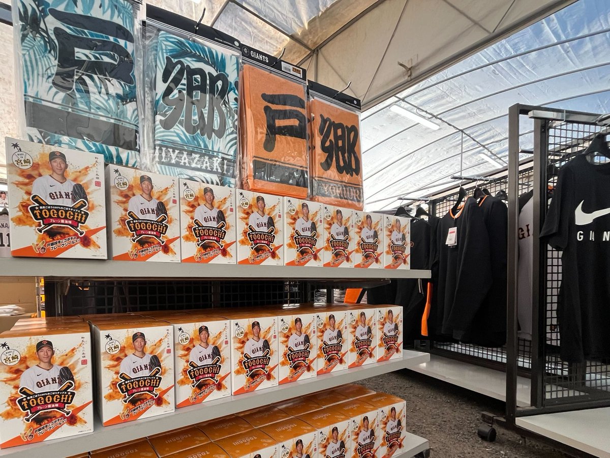 トゴチ」好評販売中‼ ＼ 「GIANTS STORE BALLPARK MIYAZAKI」では