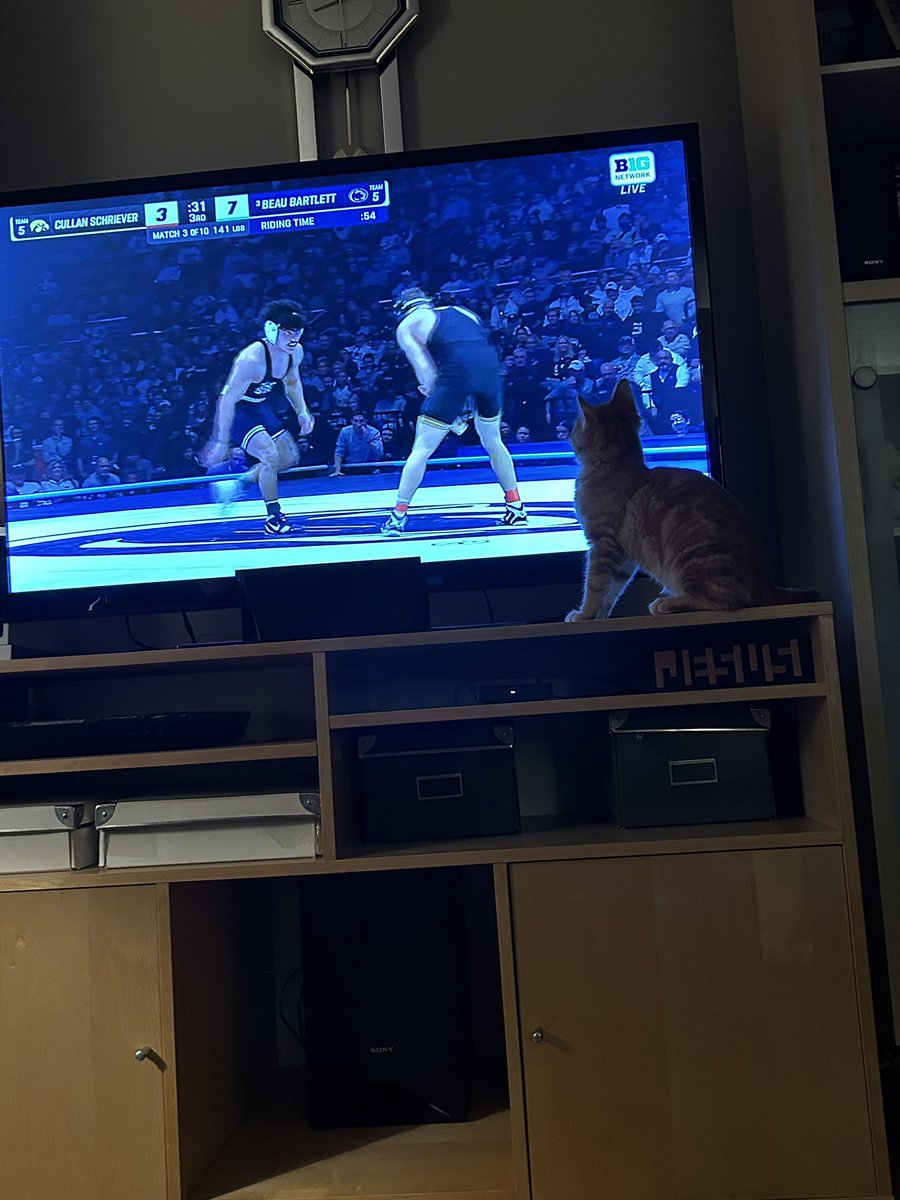InzanaKaleb's tweet photo. @ShaneSparksBTN @pennstateWREST @Hawks_Wrestling @BigTenNetwork Barkley is watching his favorite team wrestle! #FridayNightWrestling https://t.co/eFFi943HUF