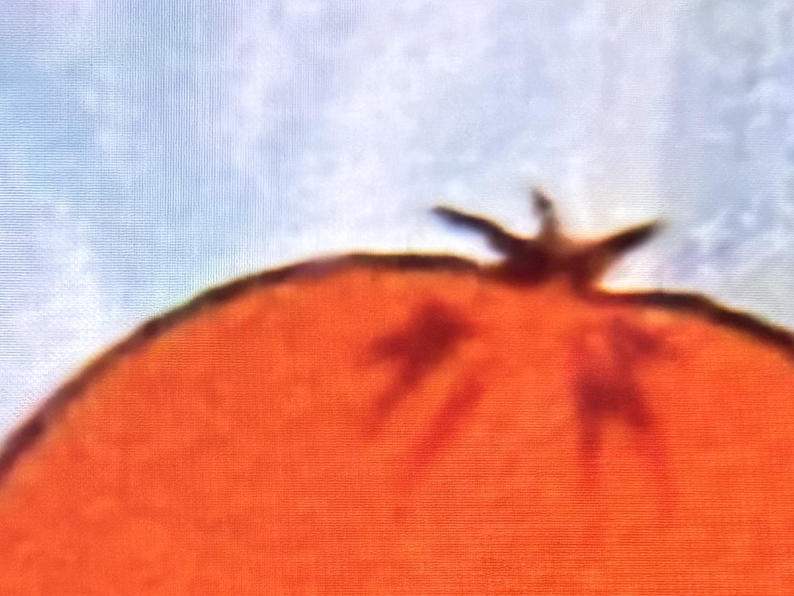 むらき（低浮上） tweet media